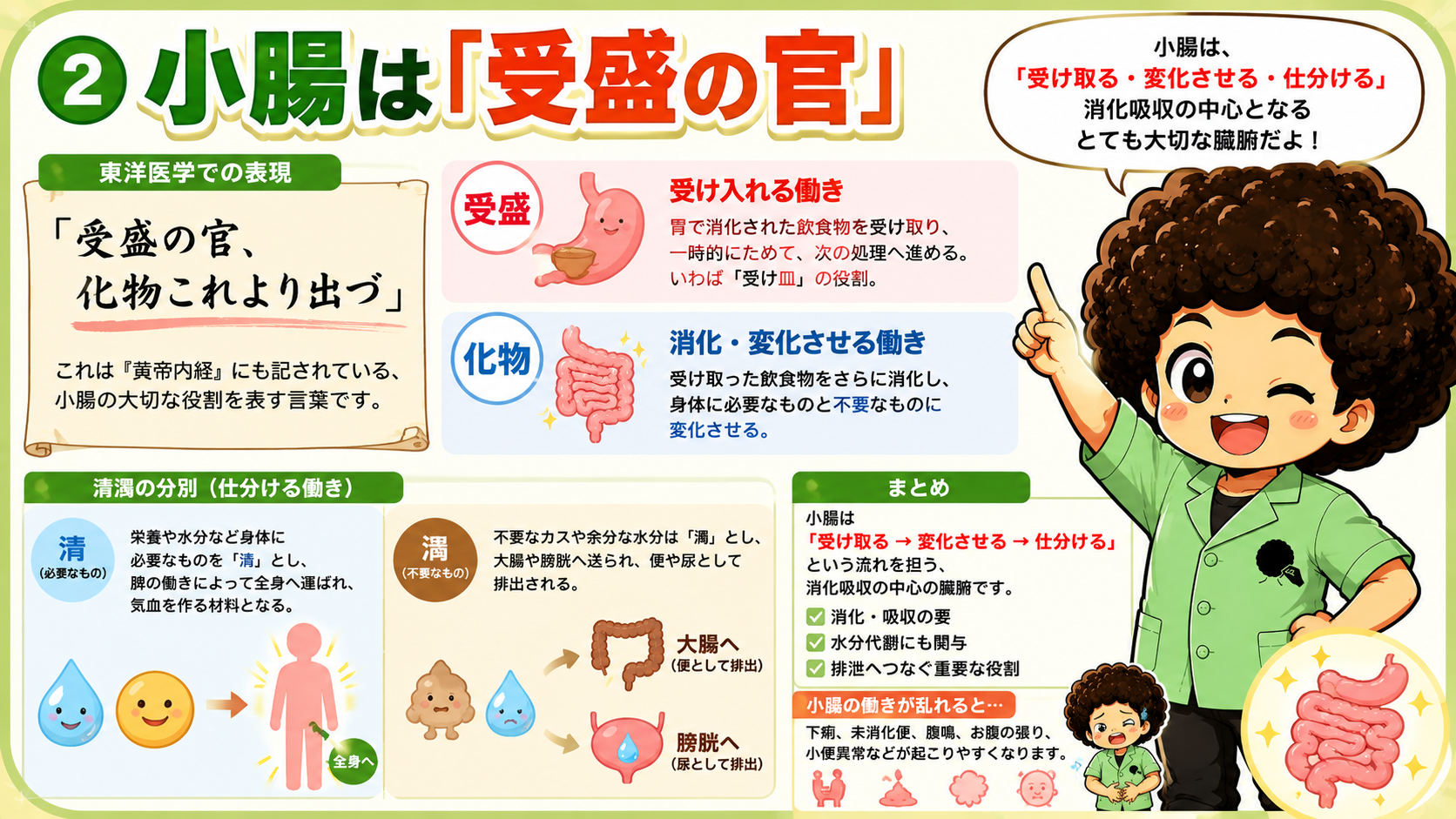 小腸は「受盛の官、化物これより出づ」——受盛・化物・清濁の分別