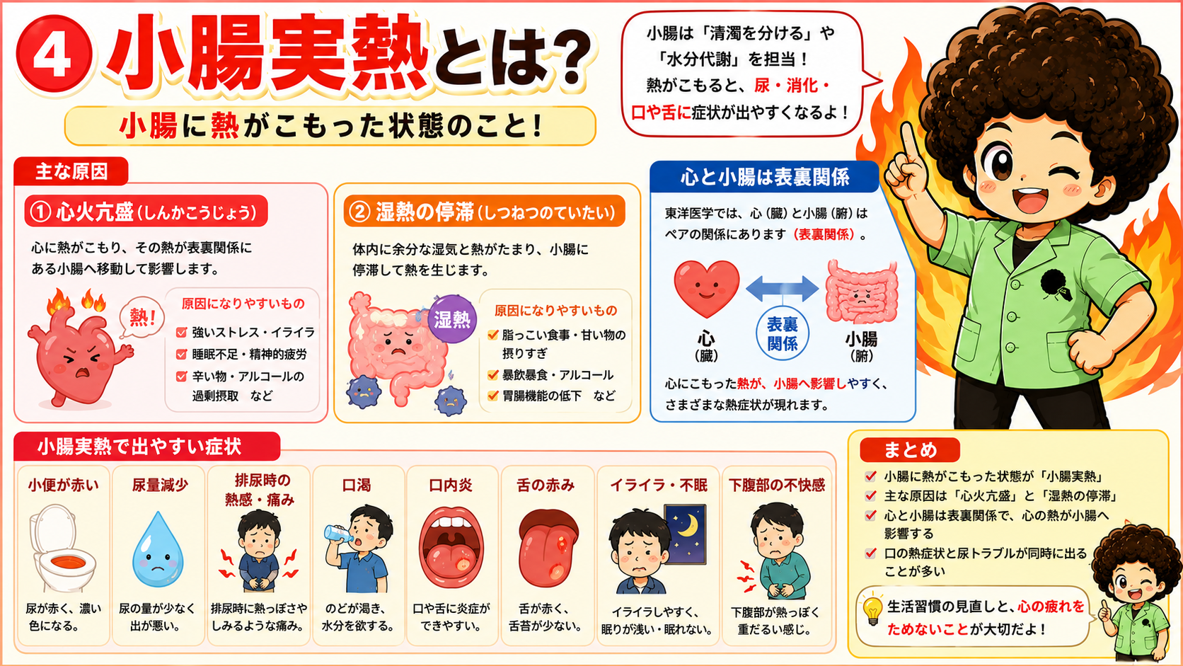 小腸実熱の原因（心火亢盛・湿熱の停滞）と心・小腸の表裏関係