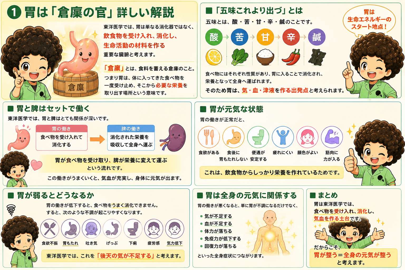 胃は「倉廩の官」— 五味これより出づ・脾との関係・胃が弱ったときの全身症状