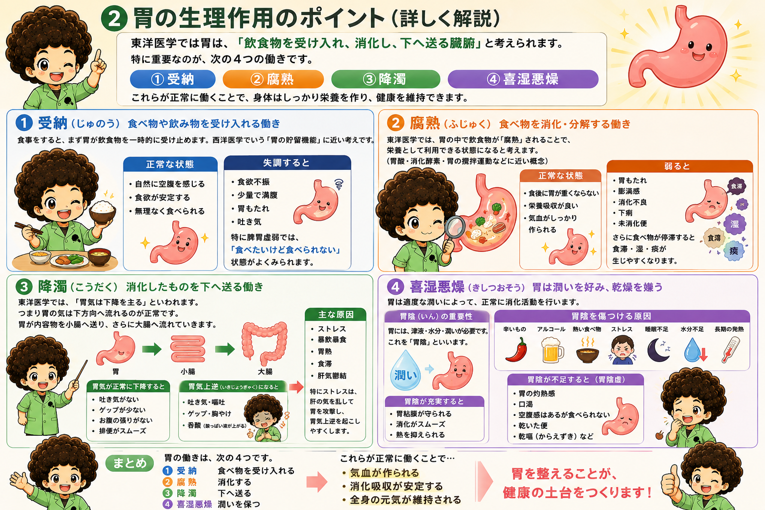 胃の生理作用のポイント — 受納・腐熟・降濁・喜湿悪燥の正常と失調