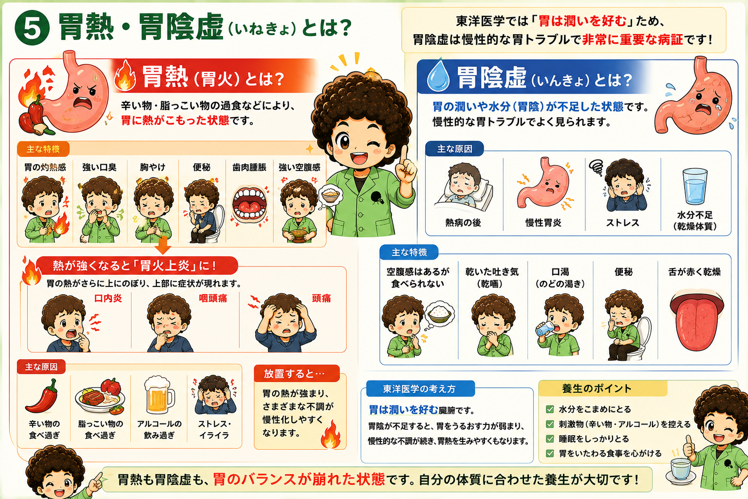 胃熱（胃火）と胃陰虚 — 原因・特徴・養生のポイント