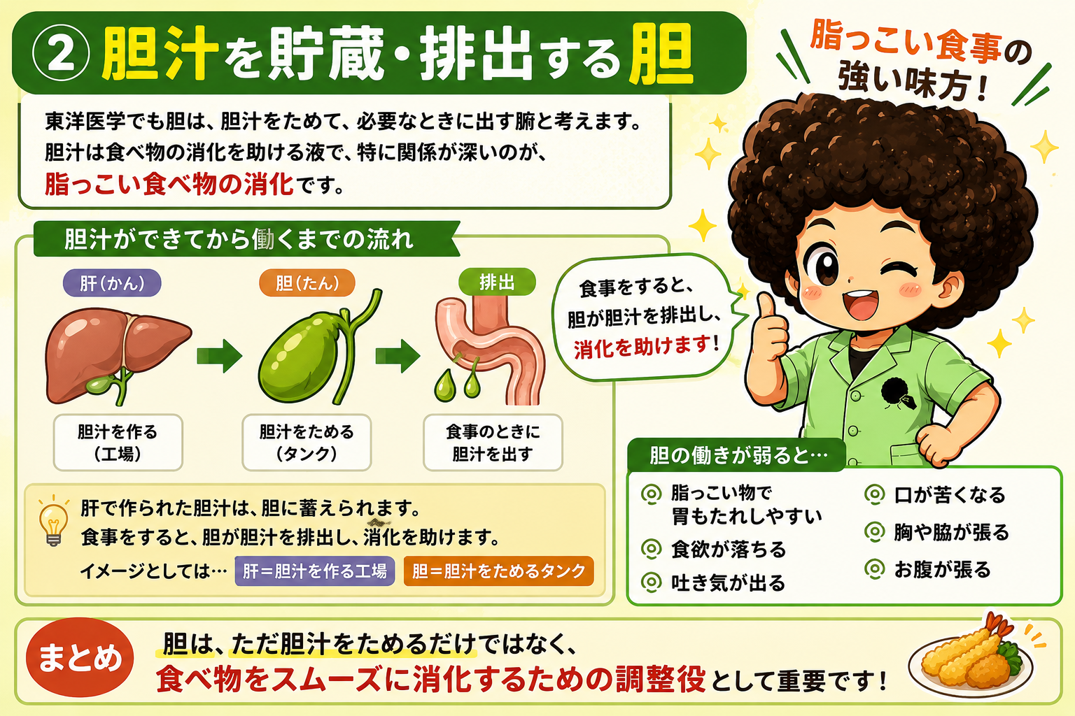 肝＝胆汁を作る工場、胆＝胆汁をためるタンク。食事のときに胆汁を排出して消化を助ける