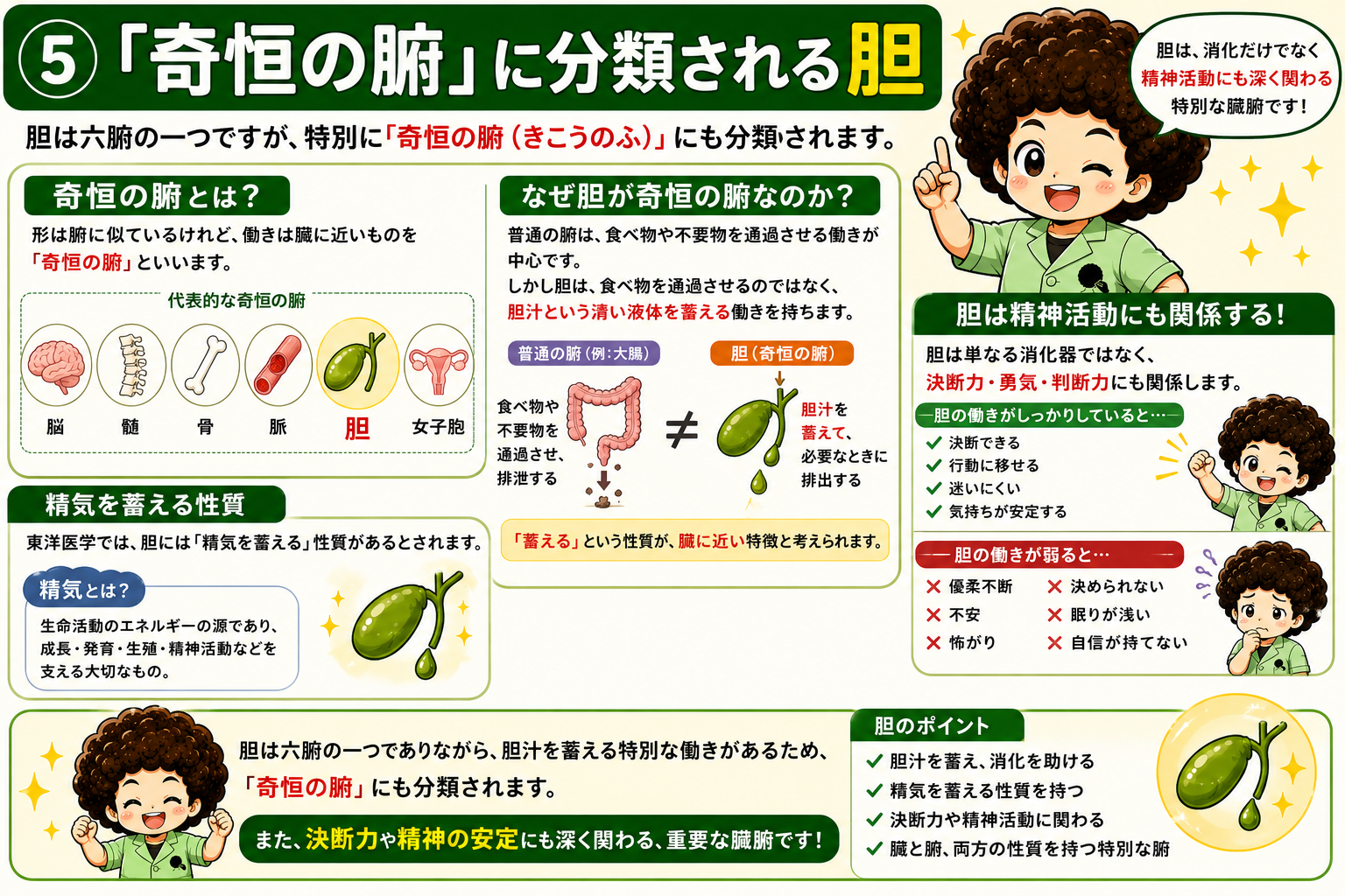 胆は「奇恒の腑」にも分類される。清い液体（胆汁）を蓄える性質が臓に近い