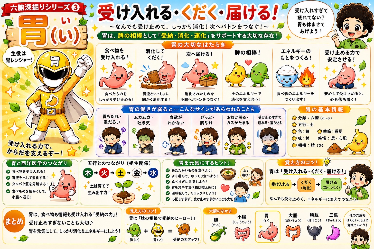 大腸のはたらきまとめ：肺の相棒として「手放す力」「整える力」を支える