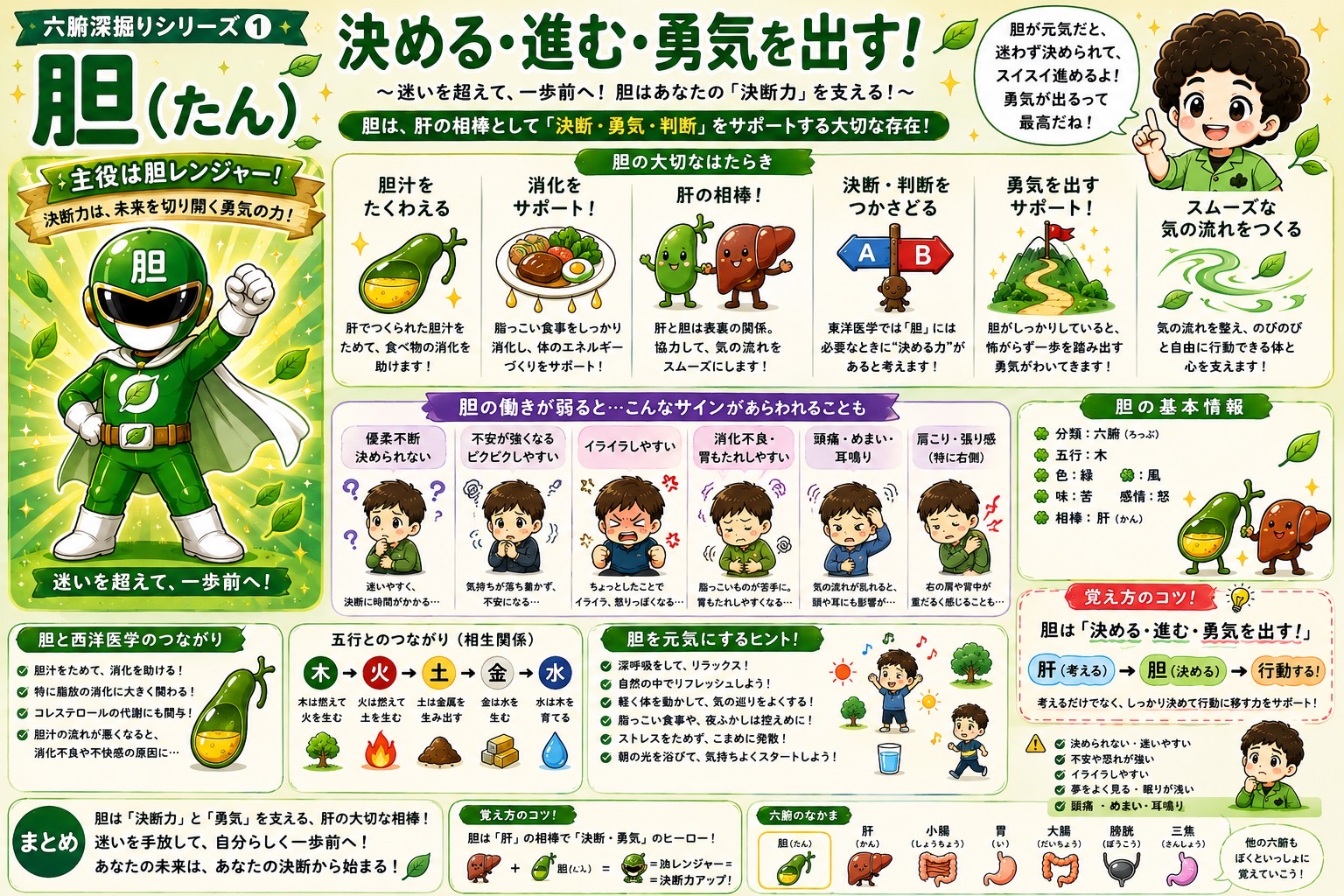 膀胱のはたらきまとめ：腎の相棒として「ためる力」「流す力」「出し切る力」を支える