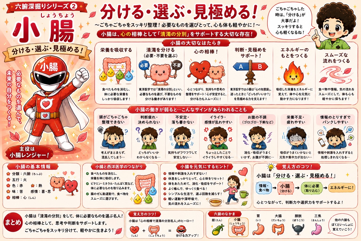 三焦のはたらきまとめ：全身の通り道を整えて気・水・栄養をめぐらせる