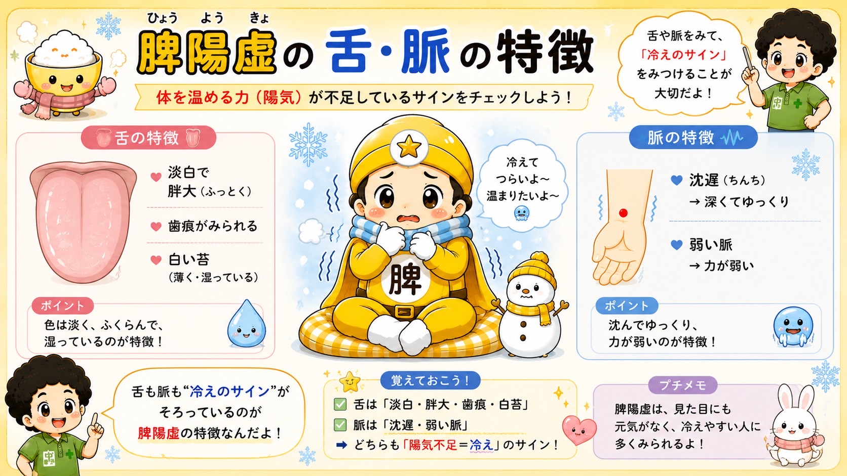 脾陽虚の舌・脈の特徴