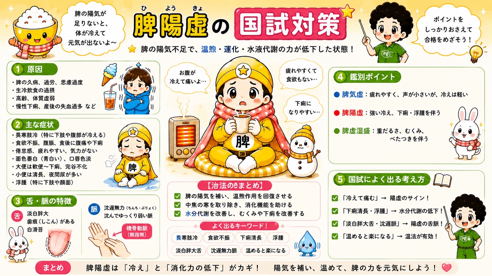 脾気虚・脾陽虚・脾虚湿盛の鑑別ポイント
