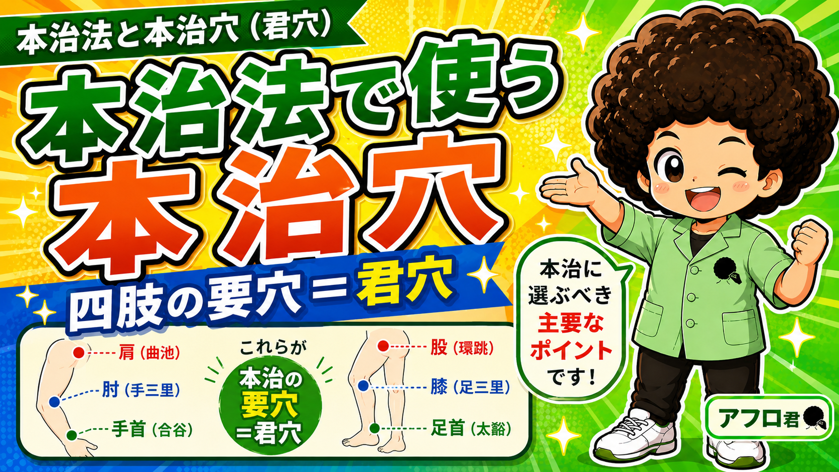 本治法で使う本治穴（君穴）＝四肢の要穴。肩＝曲池、肘＝手三里、手首＝合谷、股＝環跳、膝＝足三里、足首＝太谿