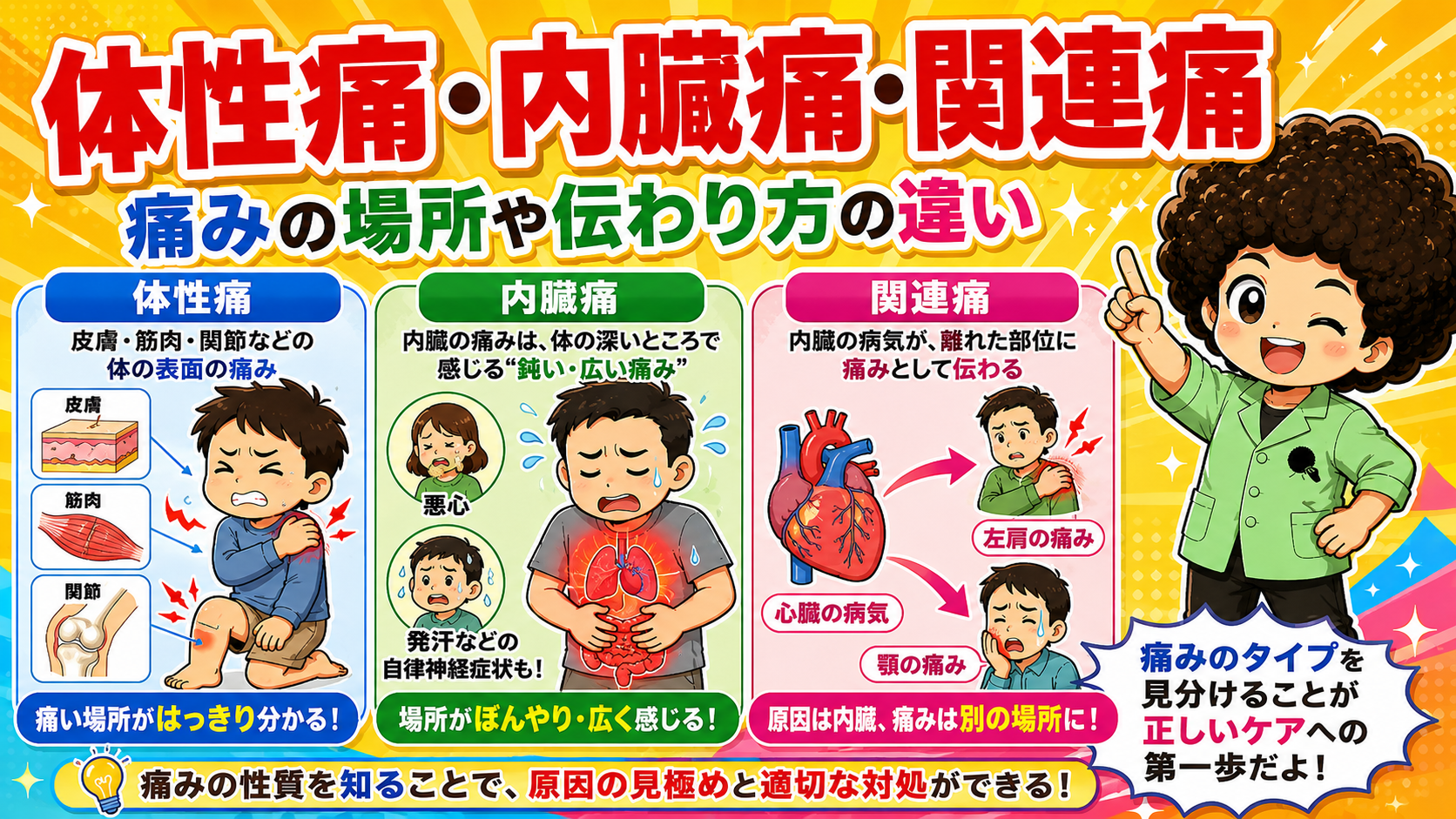 体性痛・内臓痛・関連痛の違い（心疾患の関連痛＝左肩・顎）
