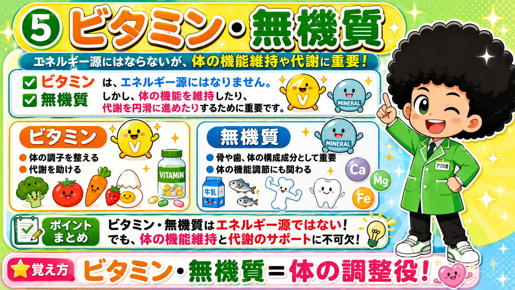 ビタミン・無機質＝体の調整役。エネルギー源ではない