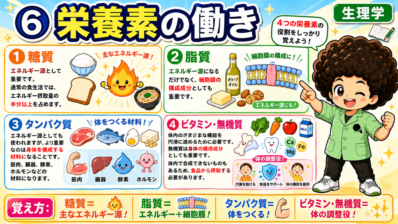 4つの栄養素の役割まとめ