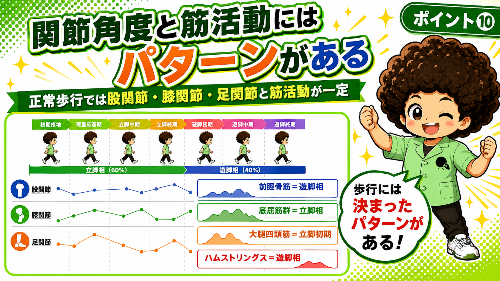 立脚相60%・遊脚相40%と、各相の関節角度・筋活動パターン。