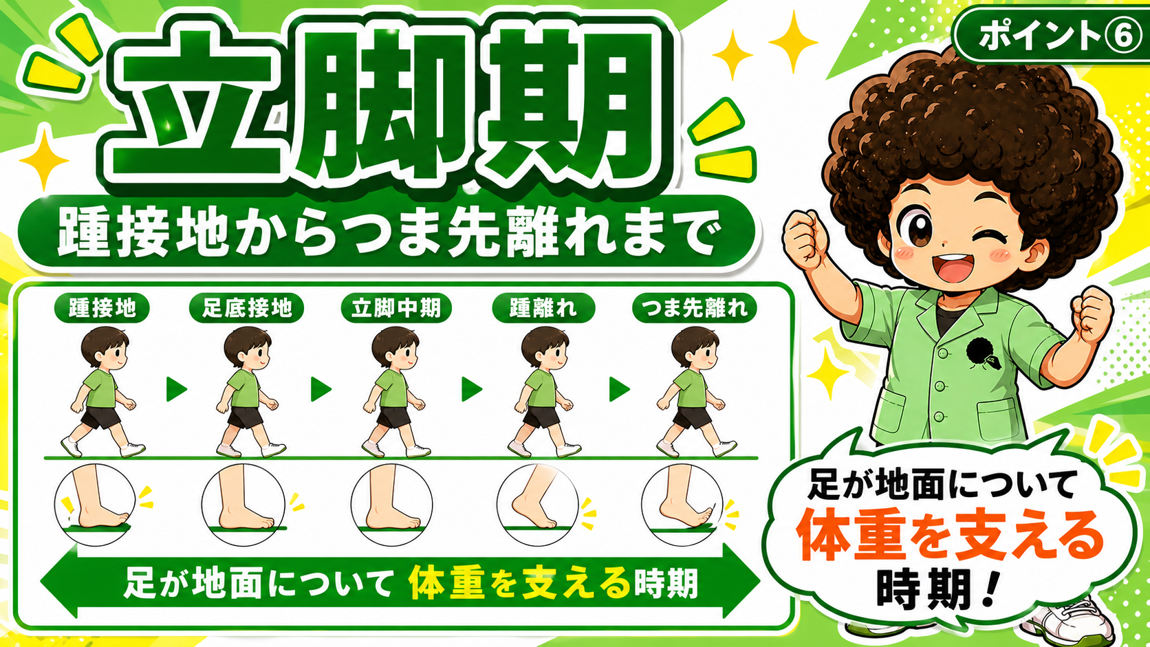立脚期の5相：踵接地→足底接地→立脚中期→踵離れ→つま先離れ