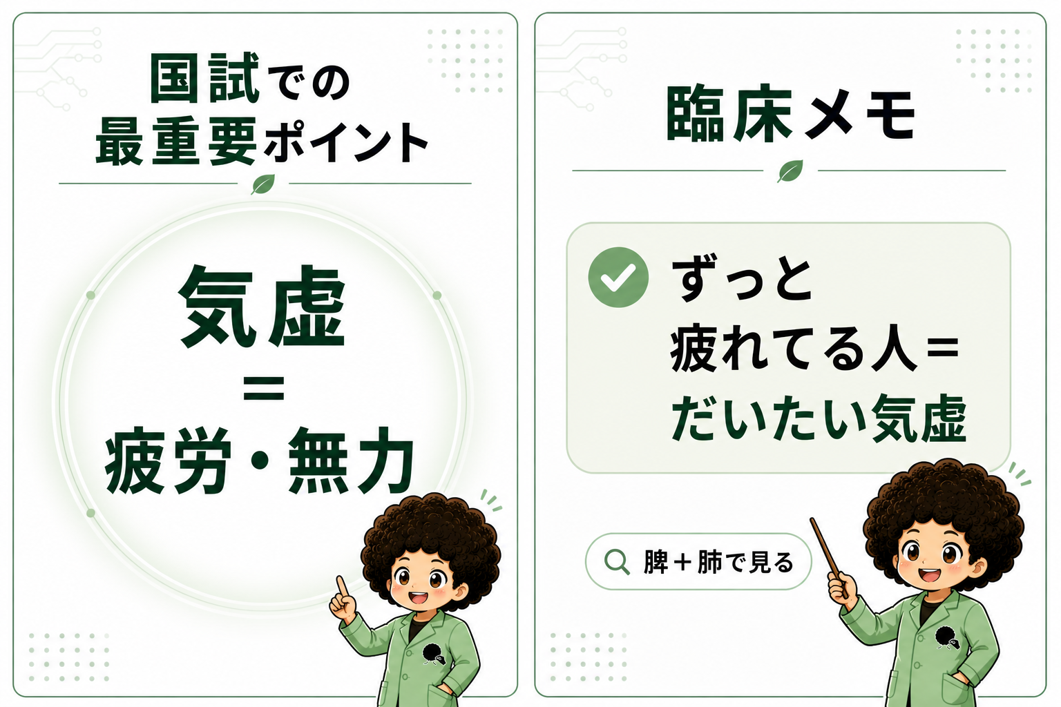 国試での最重要ポイント「気虚＝疲労・無力」と臨床メモ「ずっと疲れてる人＝だいたい気虚（脾＋肺で見る）」