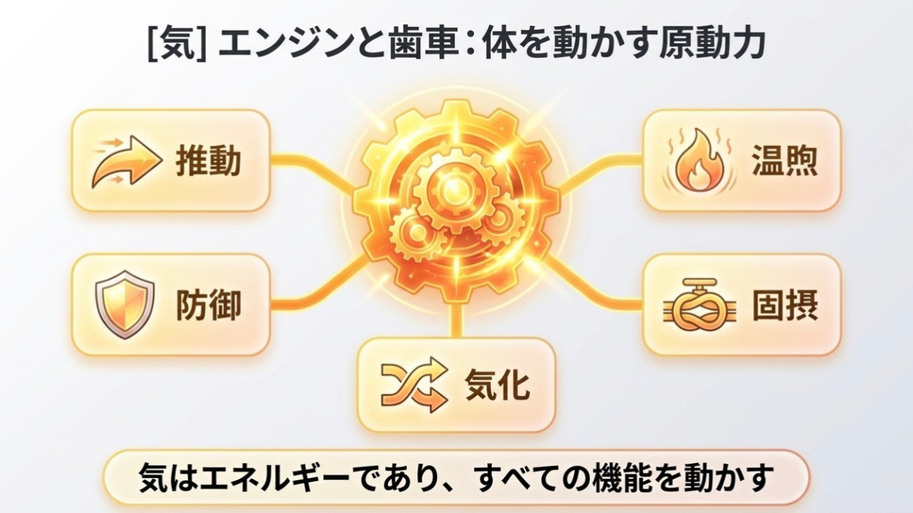 気の五作用（推動・温煦・防御・固摂・気化）。気はすべての機能を動かすエネルギー