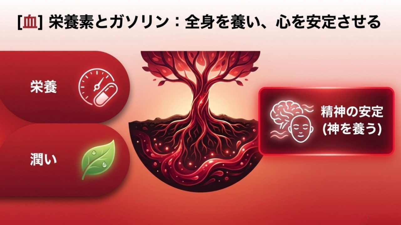 血の作用：栄養・潤い・精神の安定（神を養う）