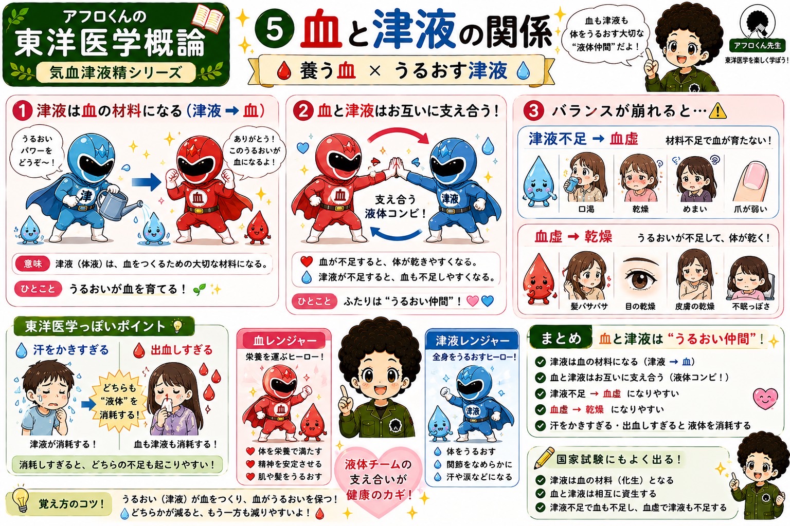 血と津液の関係。津液は血の材料（化生）となり、血と津液は相互に資生する
