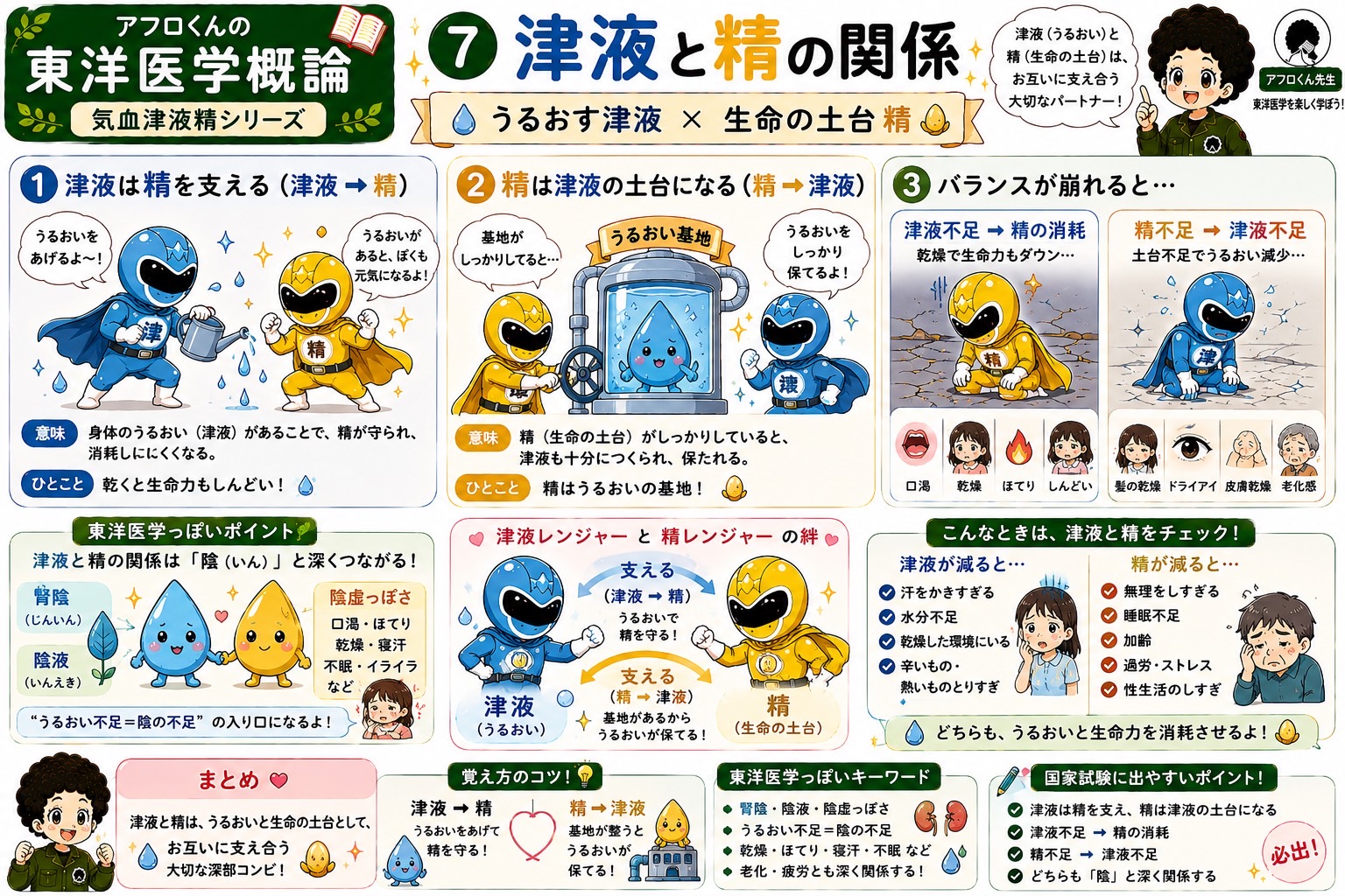 津液と精の関係。津液は精を支え、精は津液の土台になる。どちらも「陰」と深く関係する