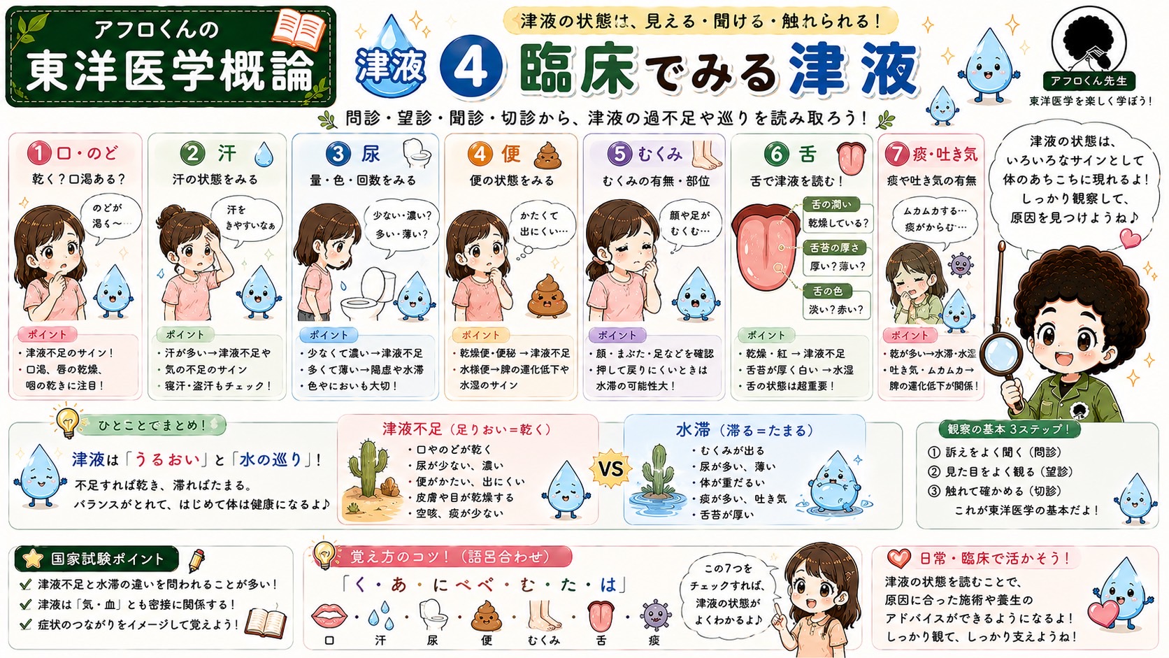 臨床でみる津液：口・汗・尿・便・むくみ・舌・痰の観察ポイント