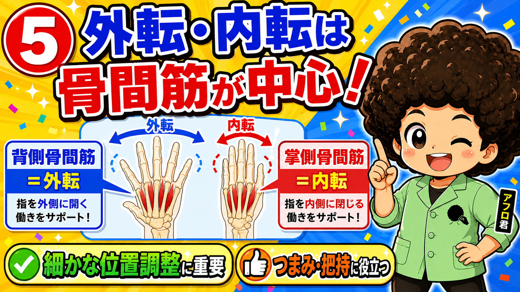 背側骨間筋＝外転、掌側骨間筋＝内転（DAB / PAD）