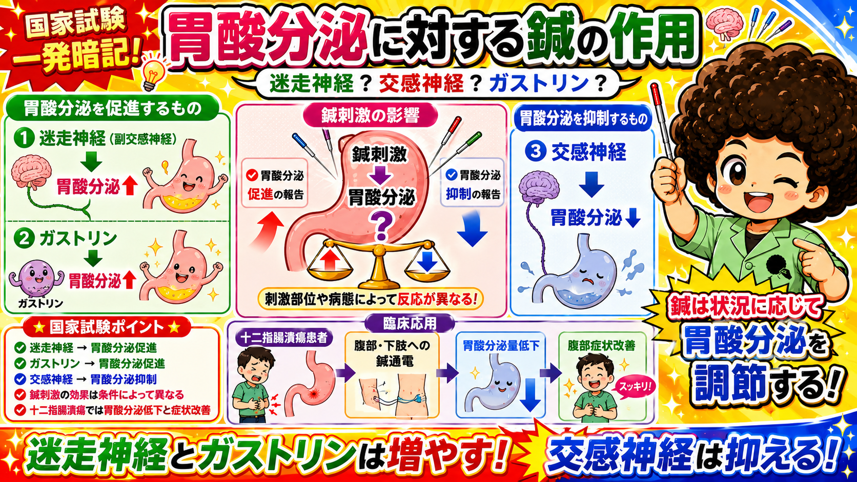 胃酸分泌に対する鍼の作用と十二指腸潰瘍への臨床応用