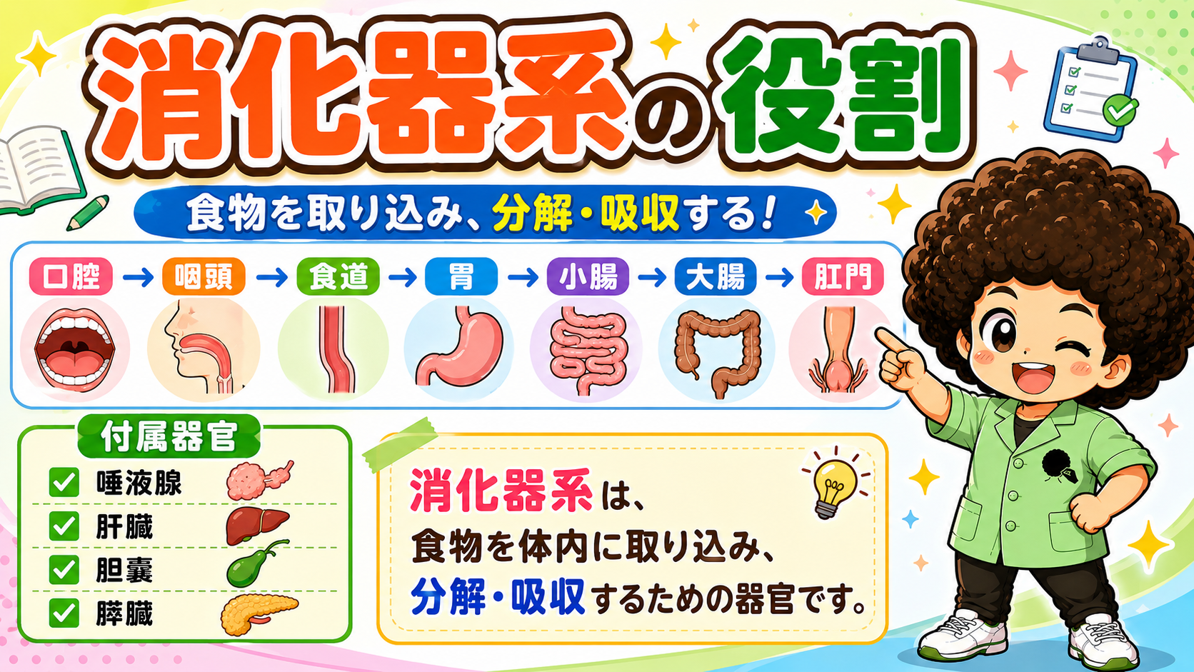 消化と吸収｜消化と吸収 1