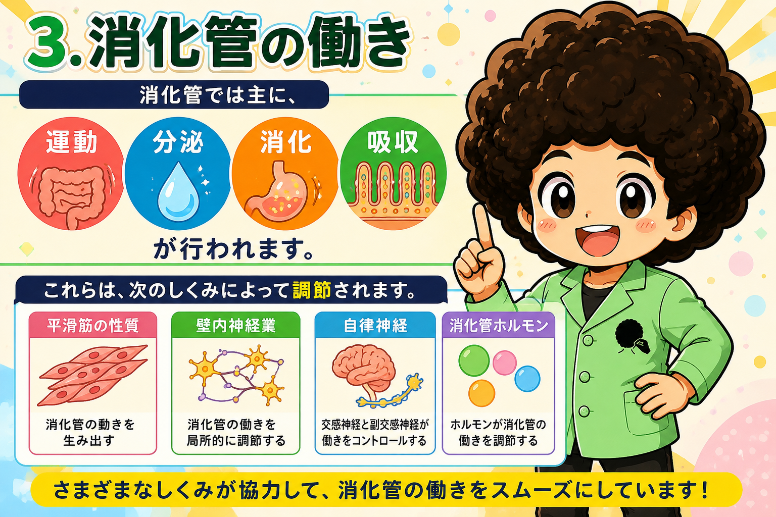 消化管の働き＝運動・分泌・消化・吸収と、その4つの調節機構