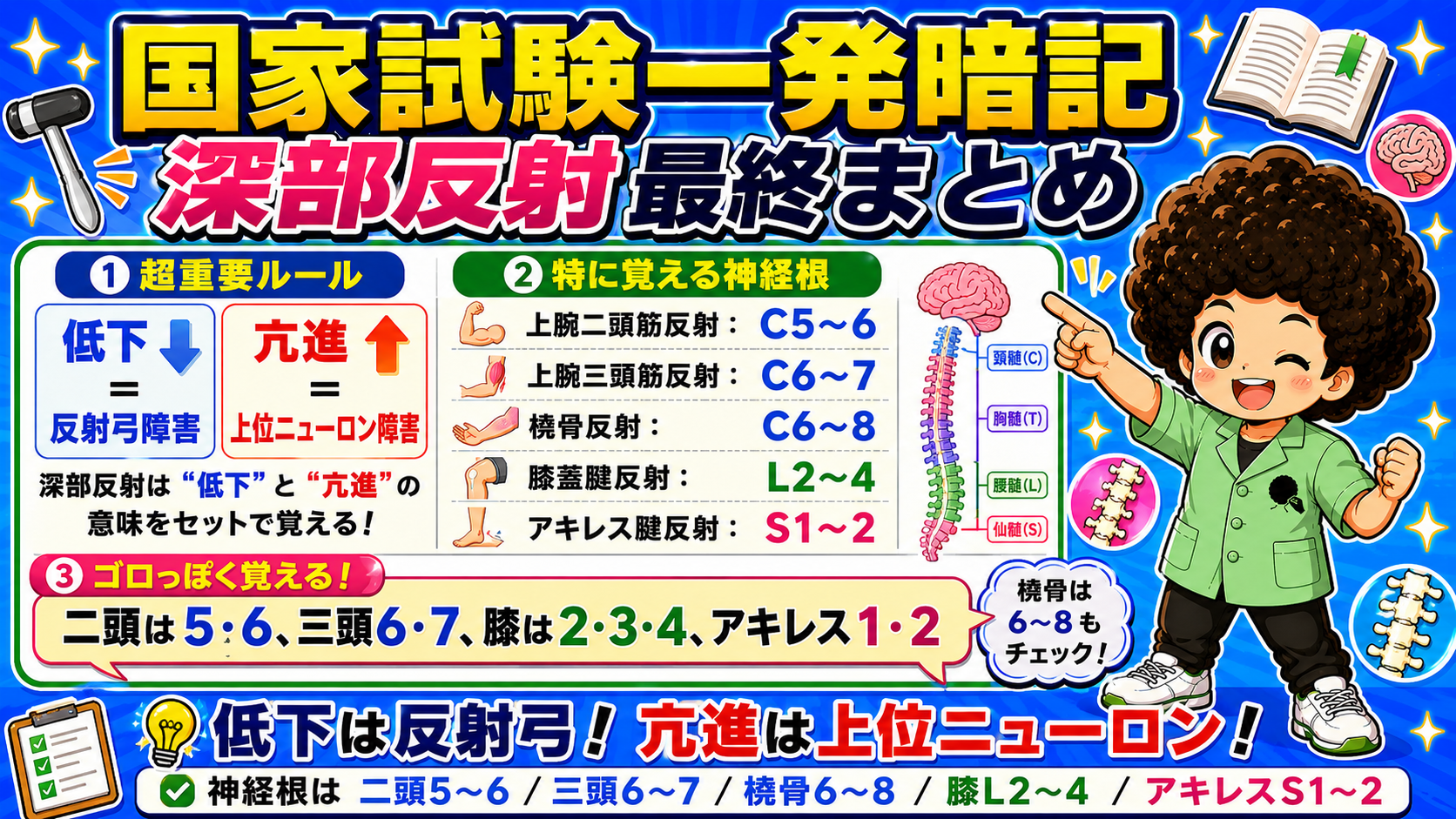 反射弓の障害で深部反射は減弱・消失する