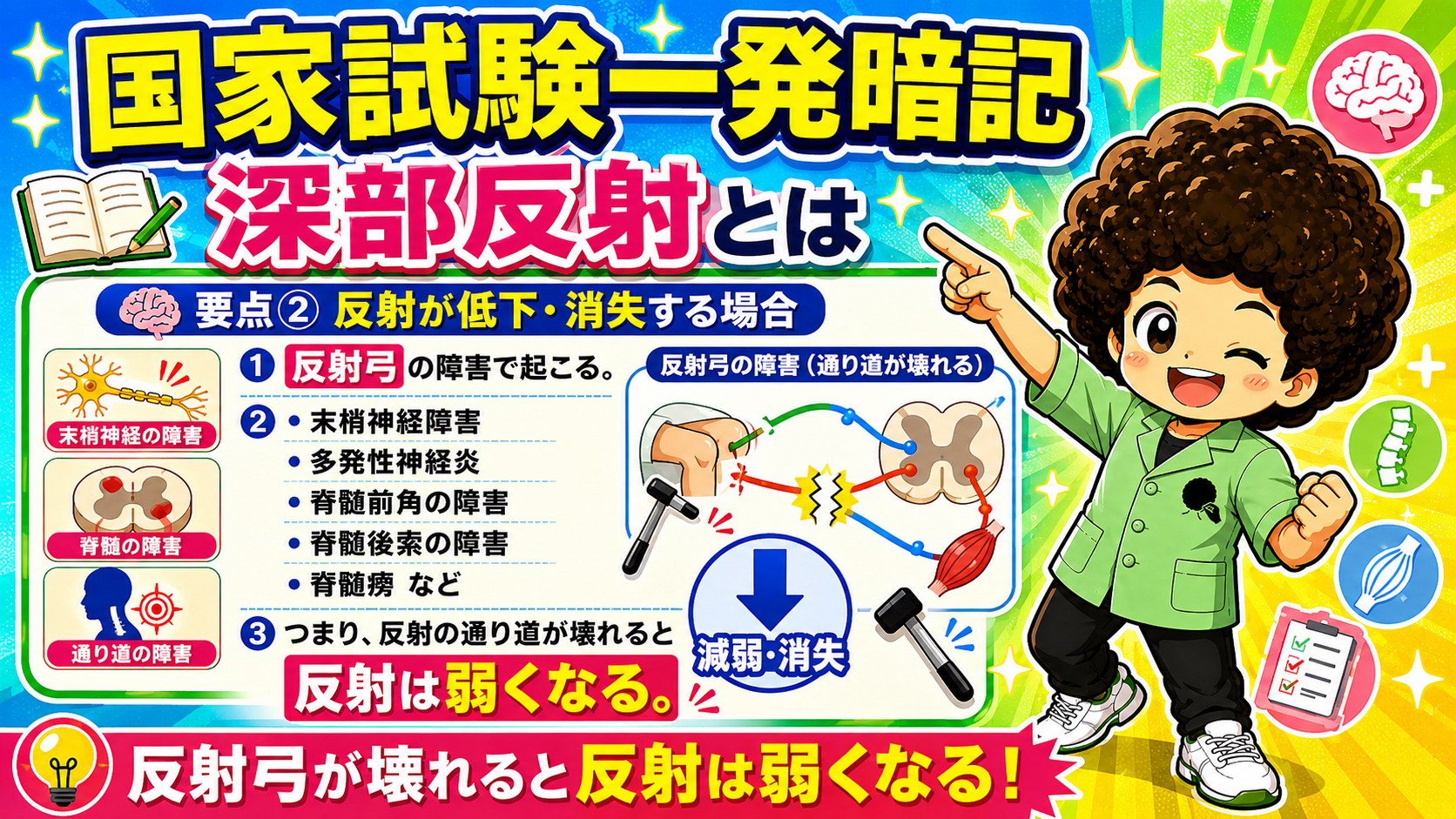 上肢・頭部の深部反射まとめ表