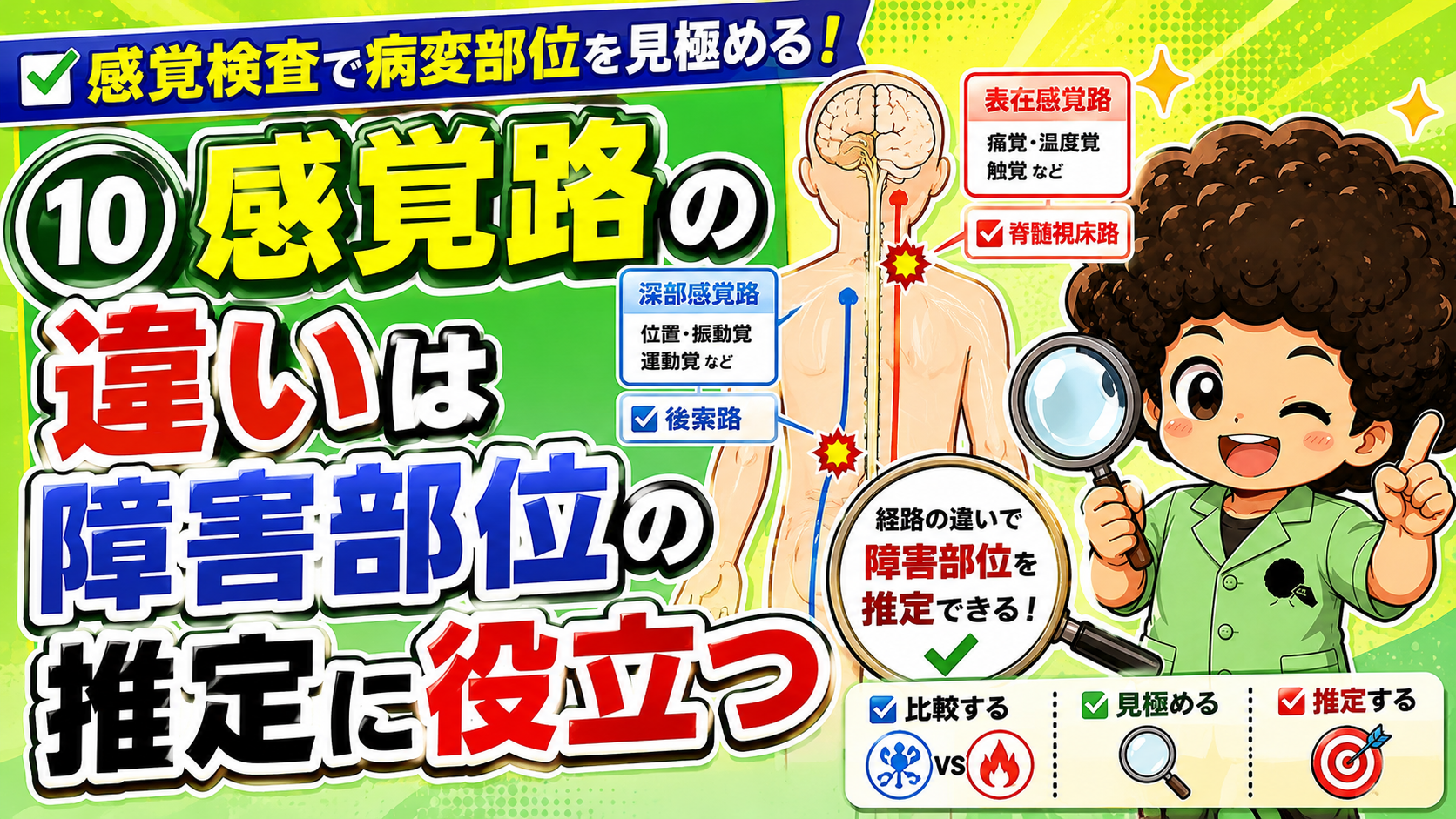 感覚路の違いは障害部位の推定に役立つ
