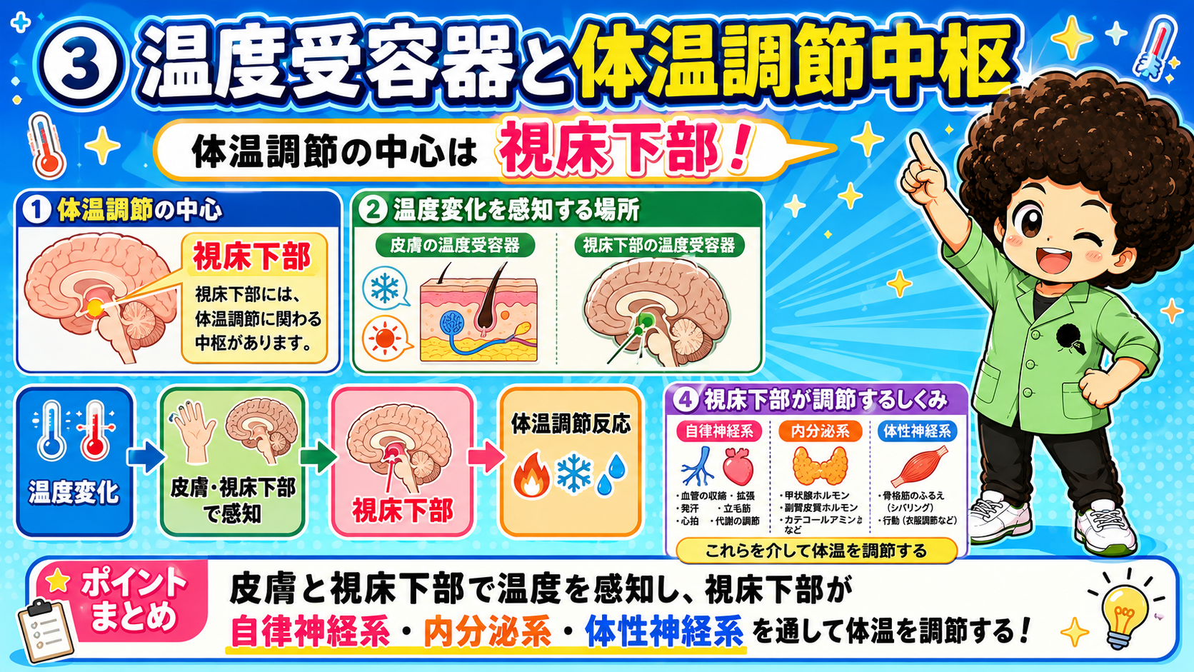 温度受容器と体温調節中枢｜温度受容器と体温調節中枢 1
