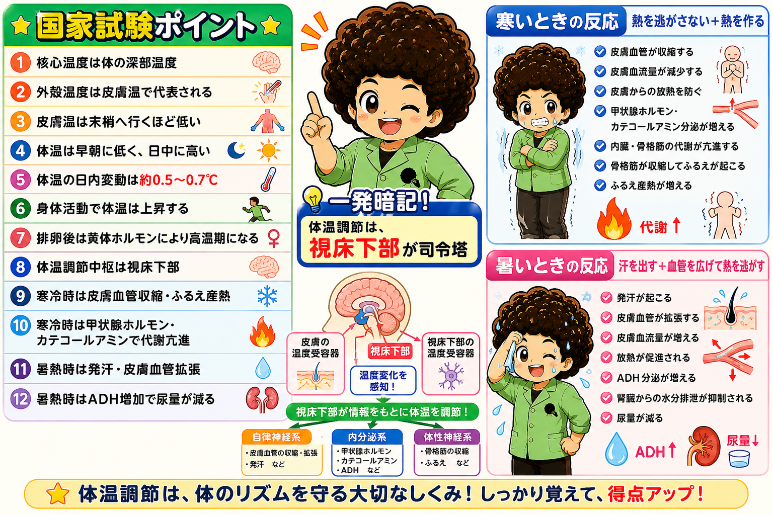 国家試験ポイント12項目と寒いとき・暑いときの反応まとめ