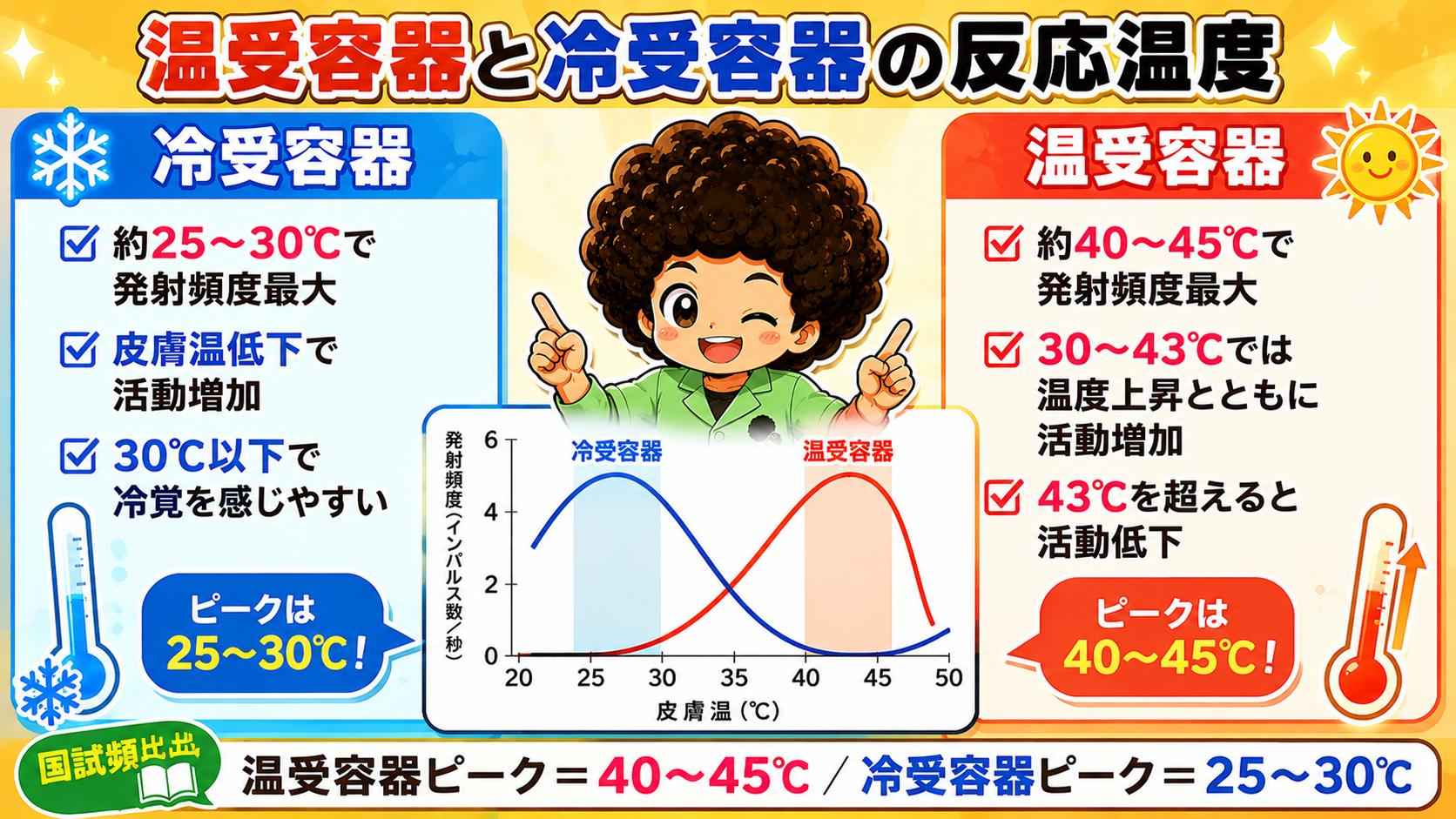 温受容器ピーク＝40〜45℃／冷受容器ピーク＝25〜30℃