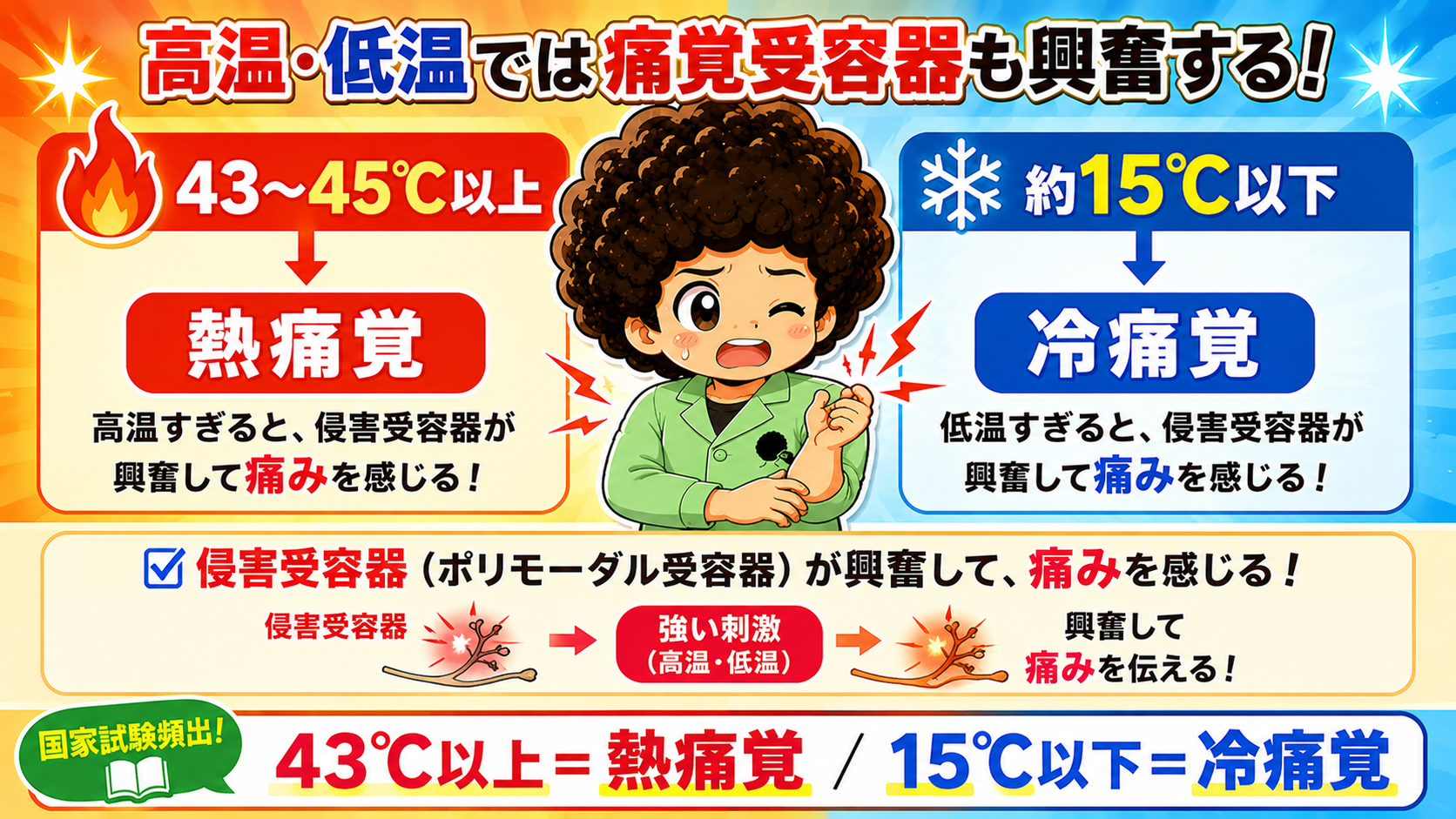 43℃以上＝熱痛覚／15℃以下＝冷痛覚