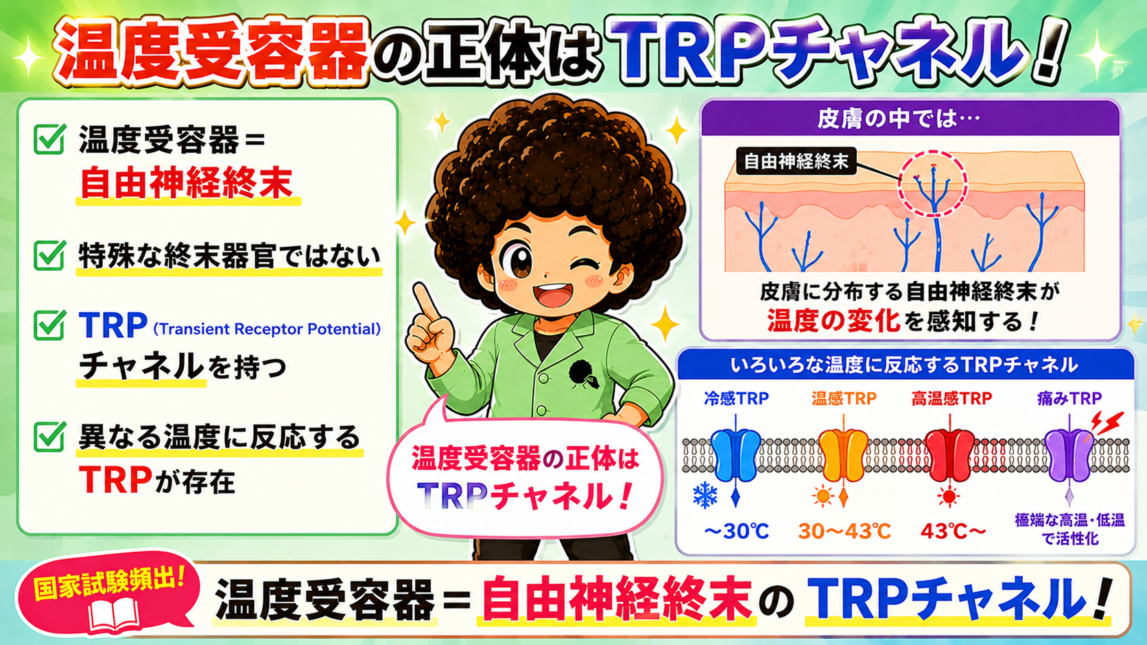 温度受容器＝自由神経終末のTRPチャネル