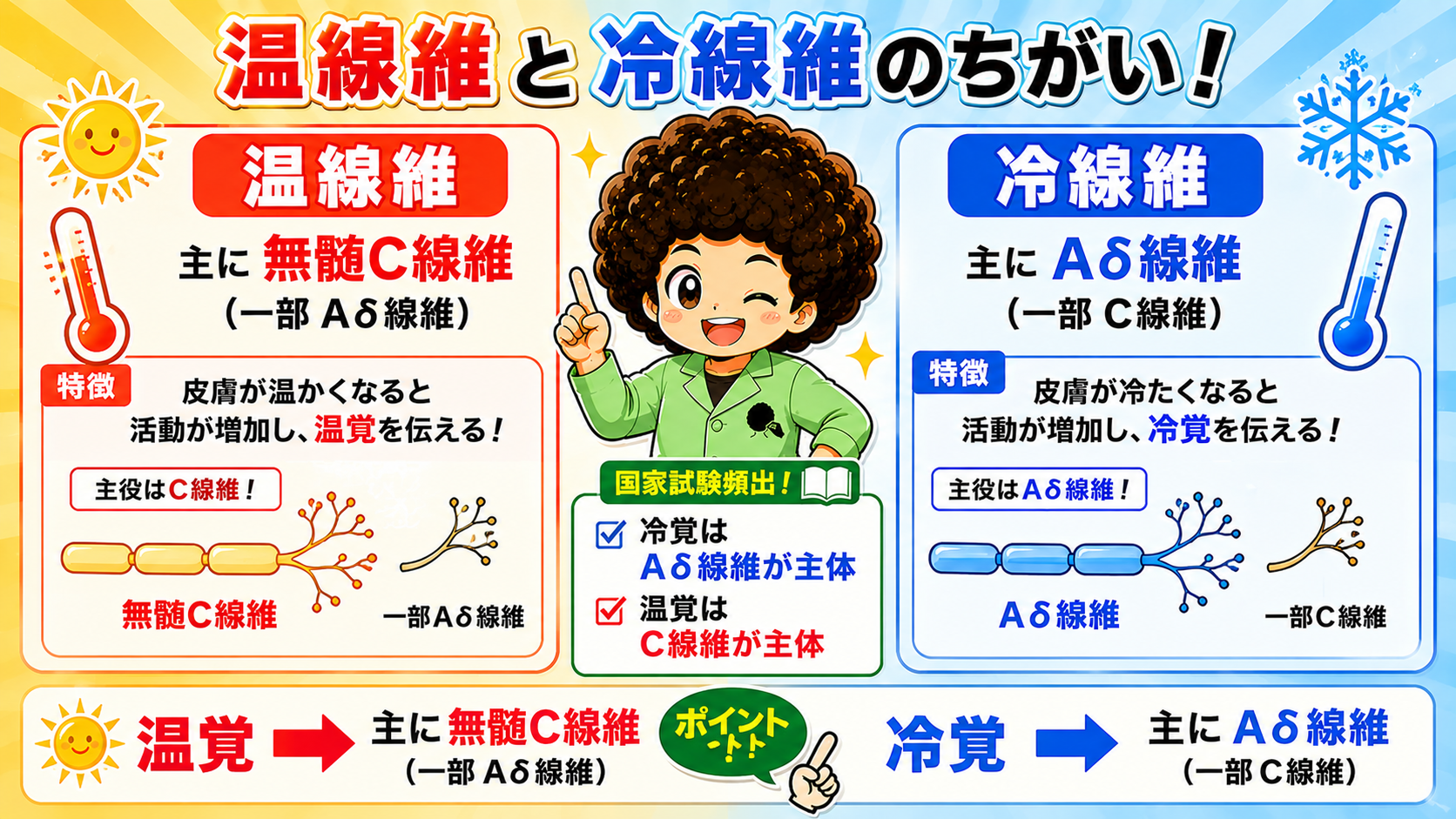 温覚は主にC線維、冷覚は主にAδ線維