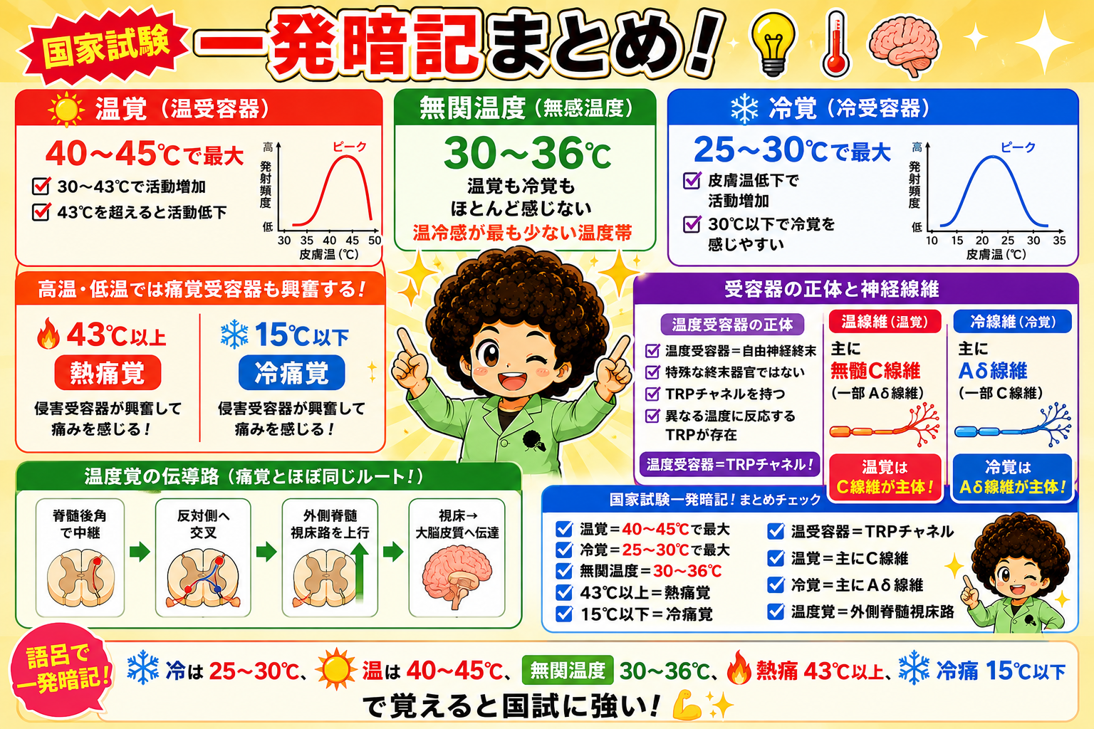 温度覚の国試ポイント総まとめ