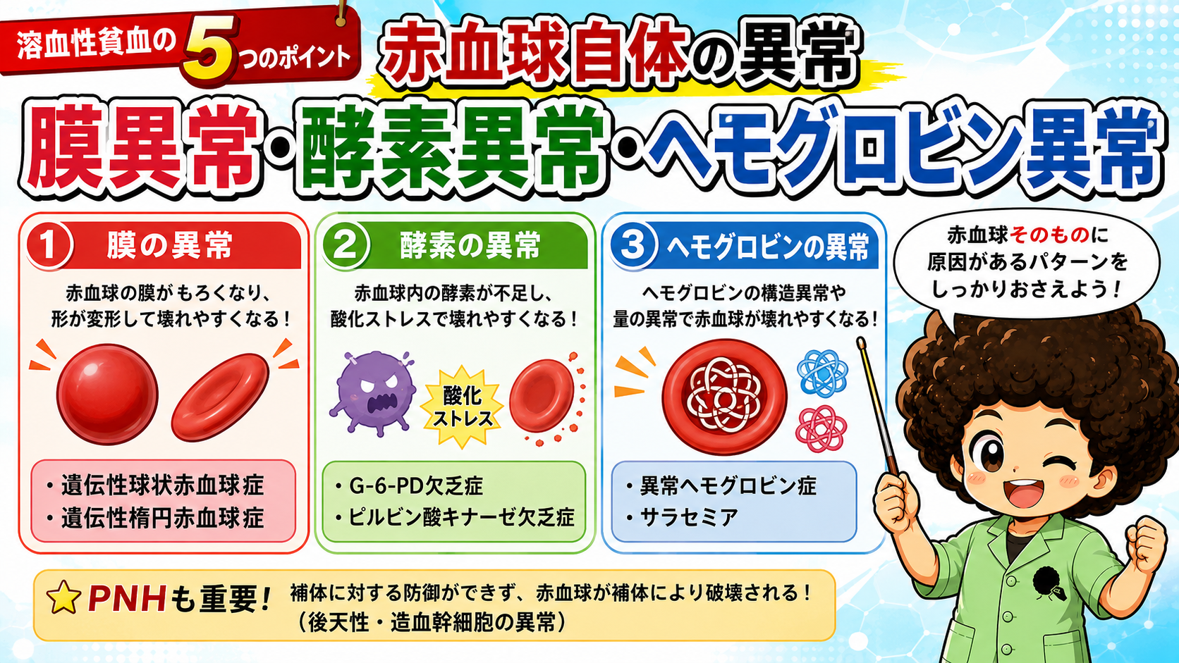 赤血球自体の異常＝膜異常・酵素異常・ヘモグロビン異常の3パターン