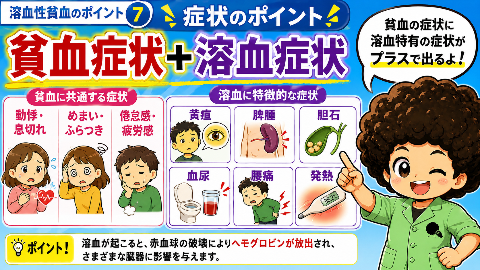 貧血に共通する症状に、黄疸・脾腫・胆石・血尿などの溶血症状が加わる