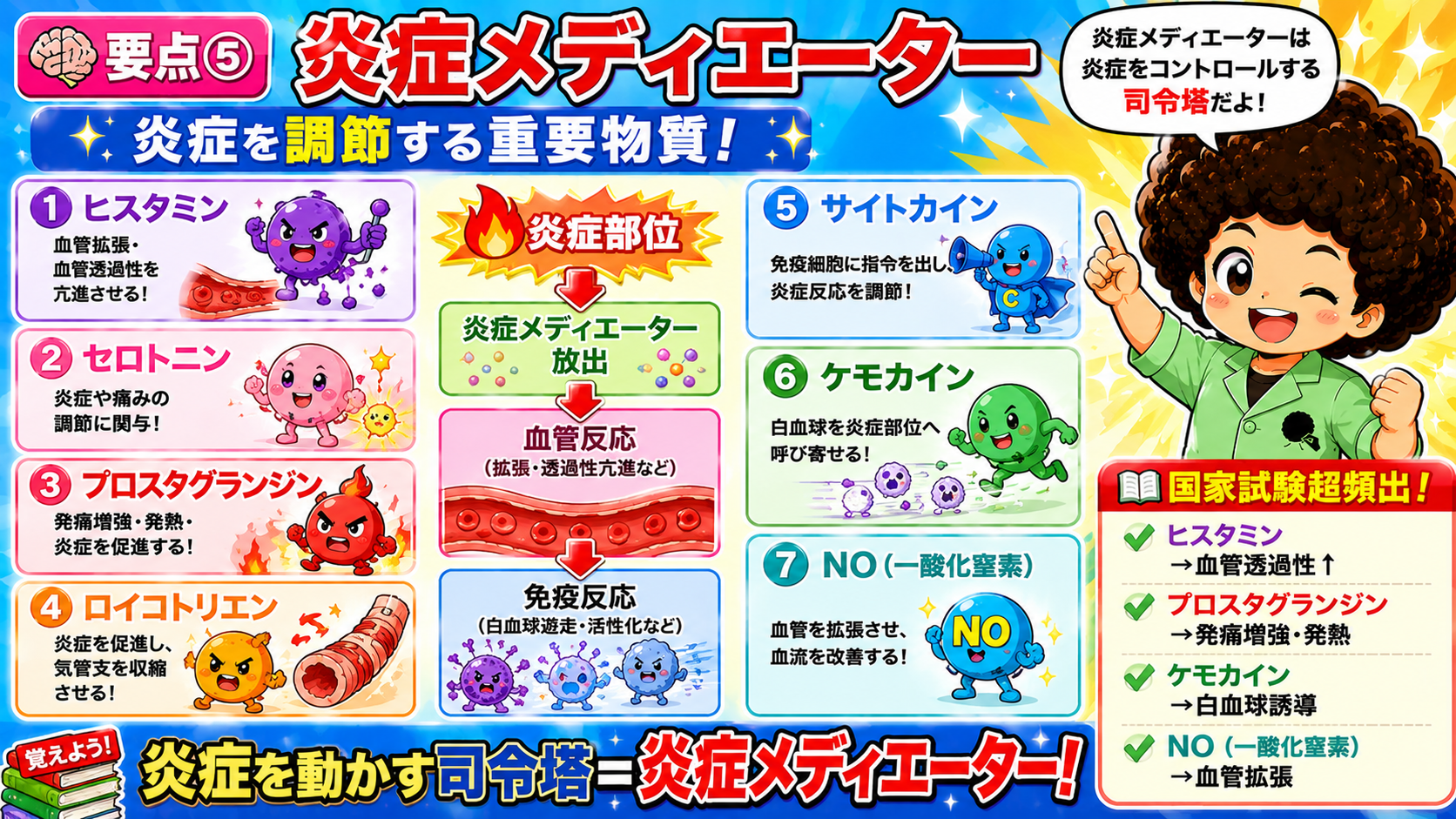 炎症メディエーター7種と国試超頻出の対応（ヒスタミン＝透過性↑、NO＝血管拡張）