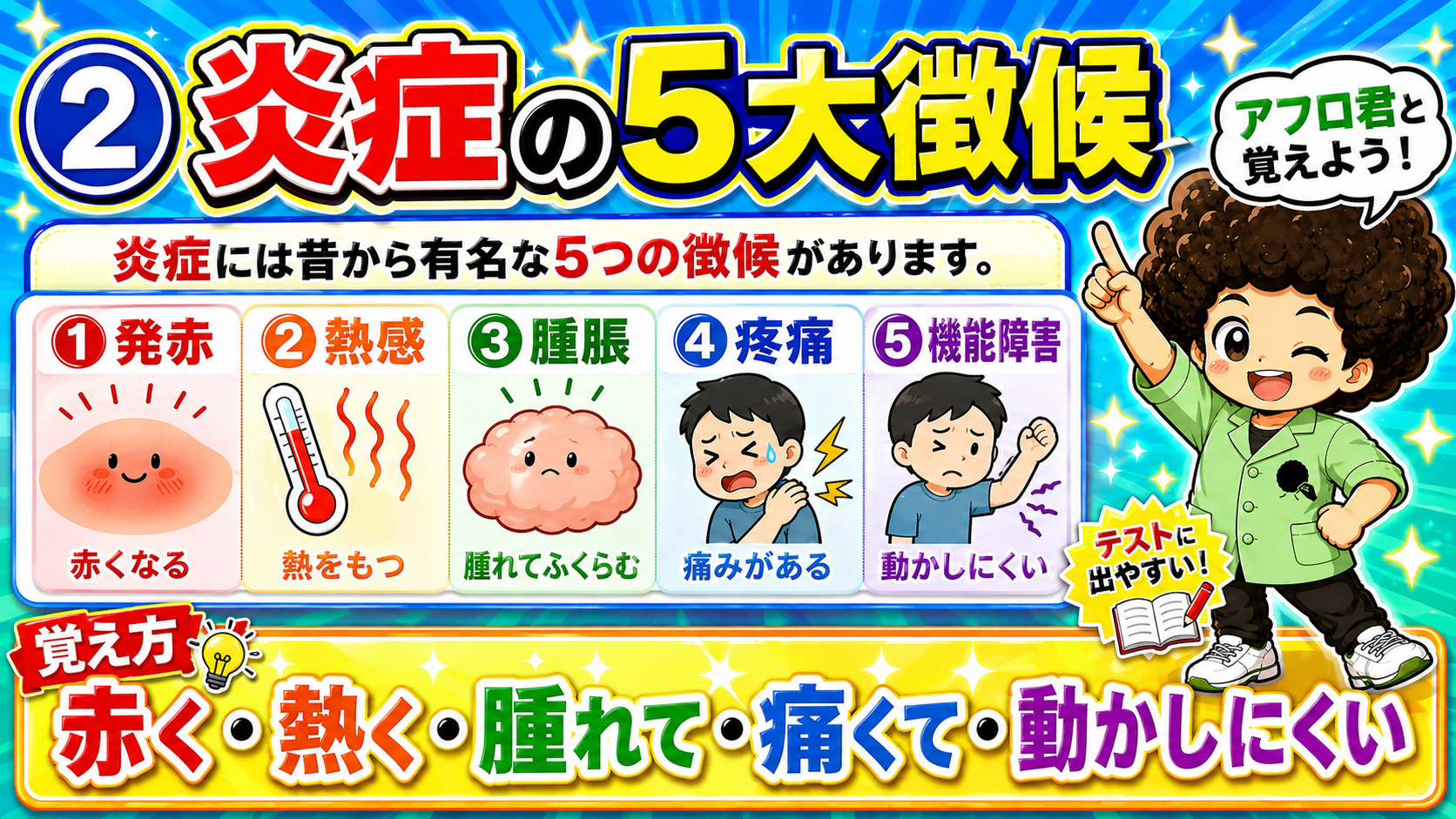 炎症の5大徴候＝発赤・熱感・腫脹・疼痛・機能障害