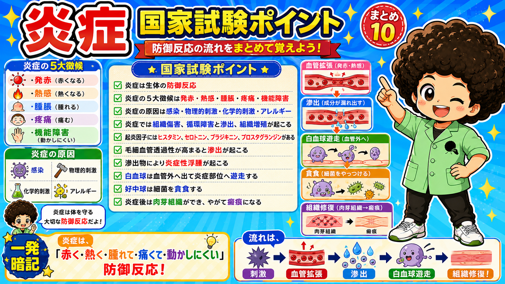 炎症の国家試験ポイントまとめ10
