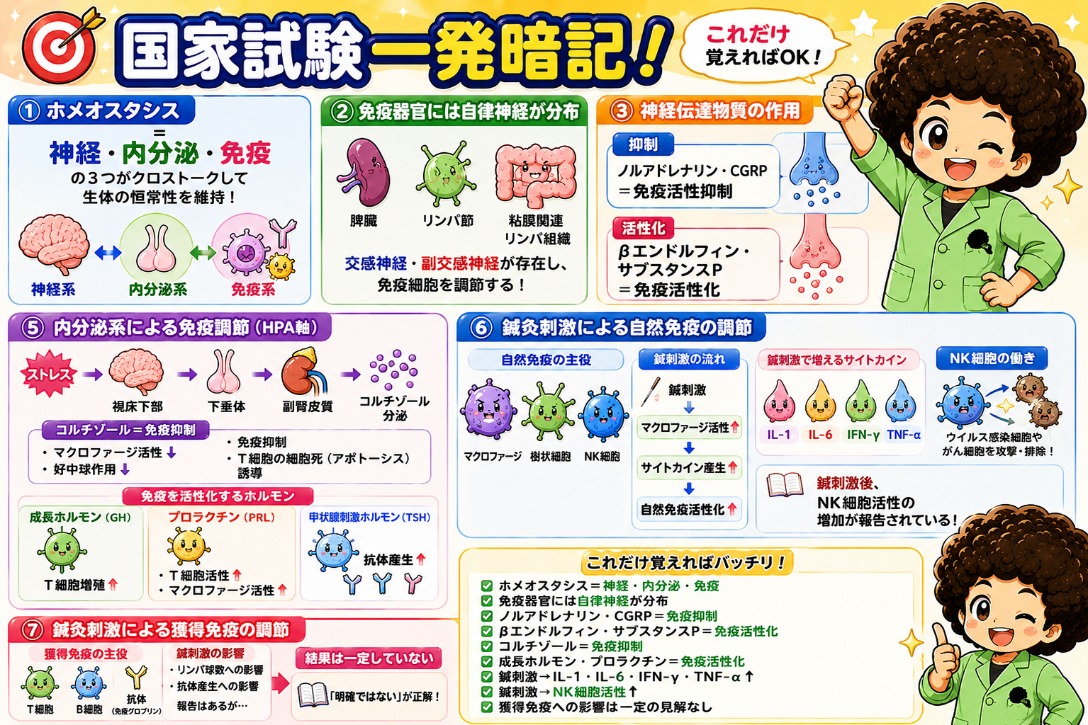 国家試験一発暗記まとめスライド