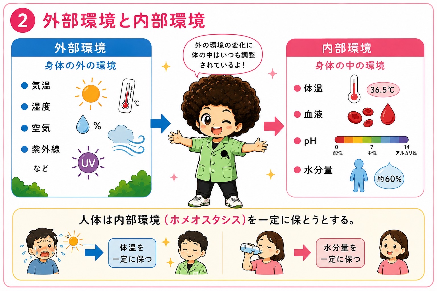 外部環境と内部環境。人体は内部環境（ホメオスタシス）を一定に保つ