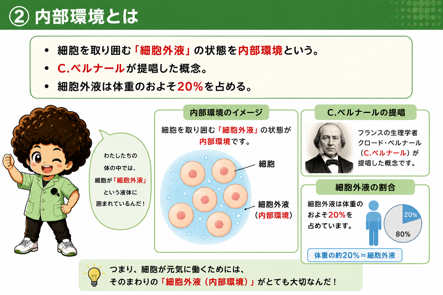 細胞外液＝内部環境。C.ベルナールが提唱し、体重の約20％を占める