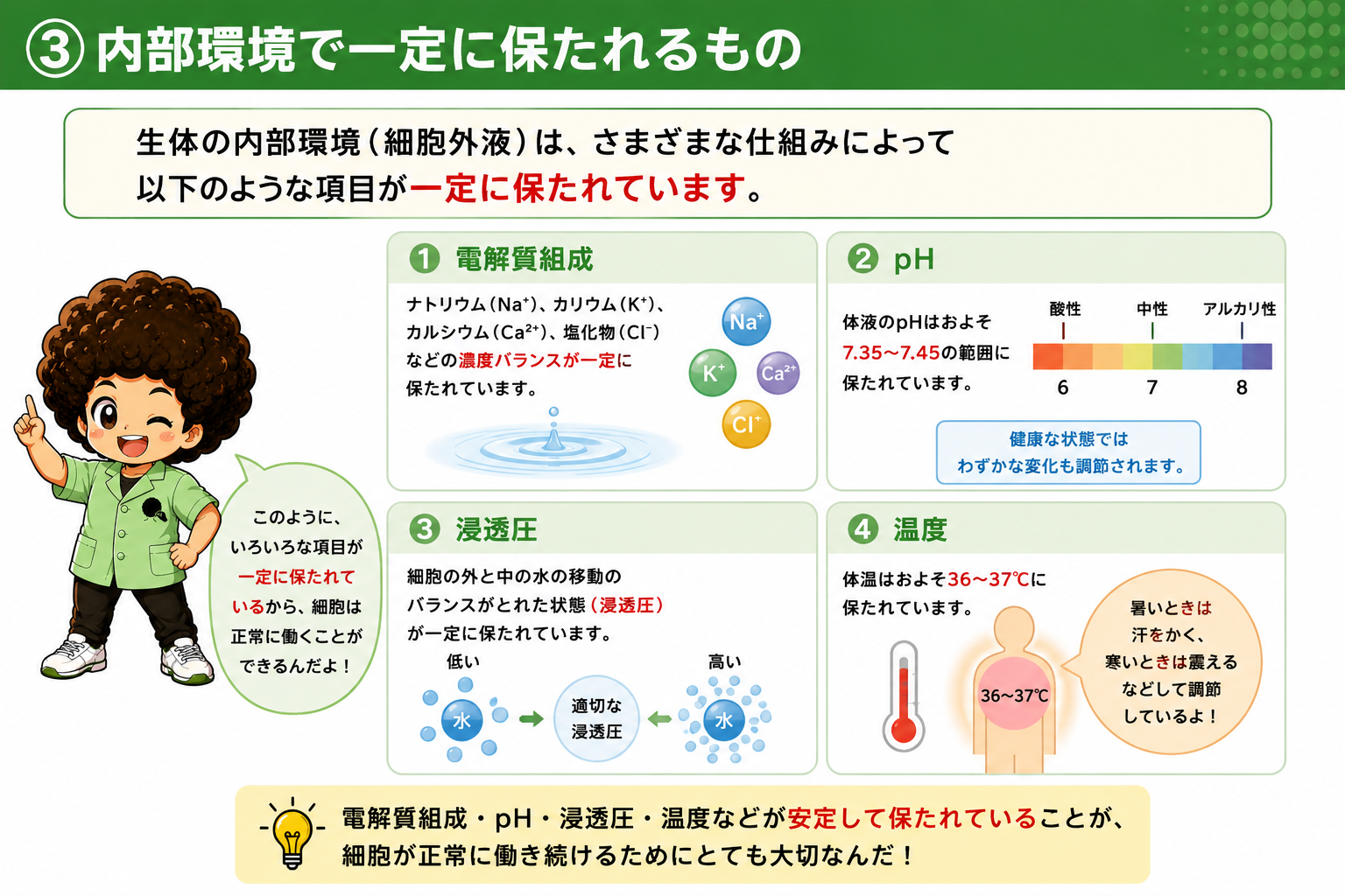 電解質組成・pH・浸透圧・温度の4項目が一定に保たれる