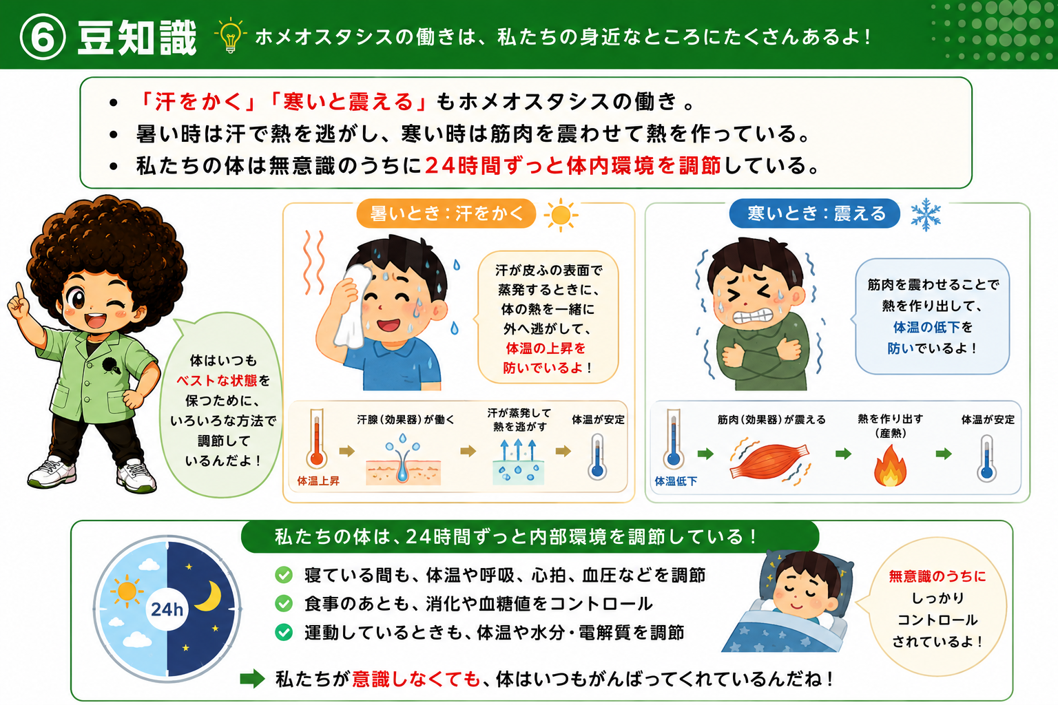 暑いときは発汗（汗腺）、寒いときはふるえ（筋肉）で体温を一定に保つ