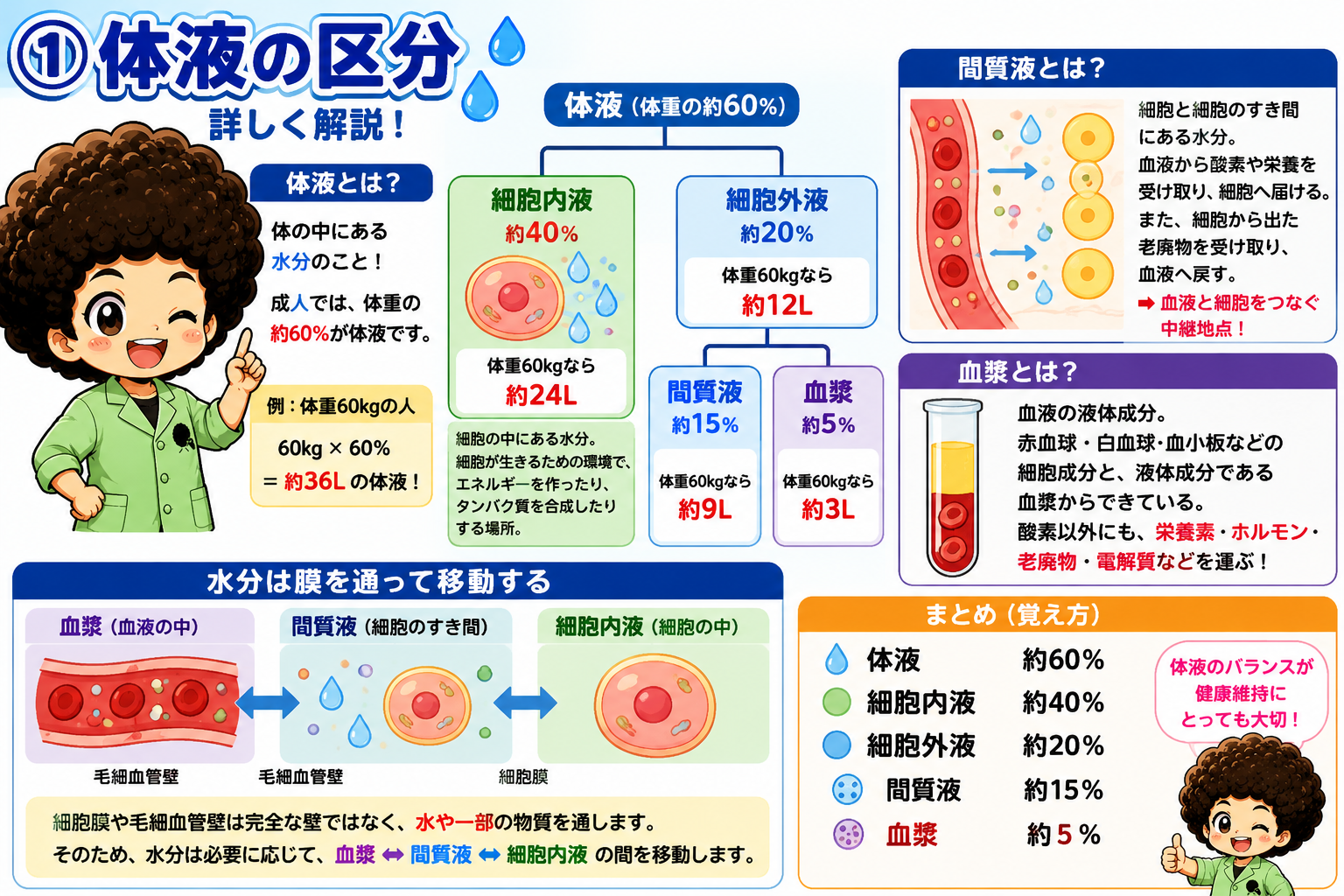 体液｜体液 1