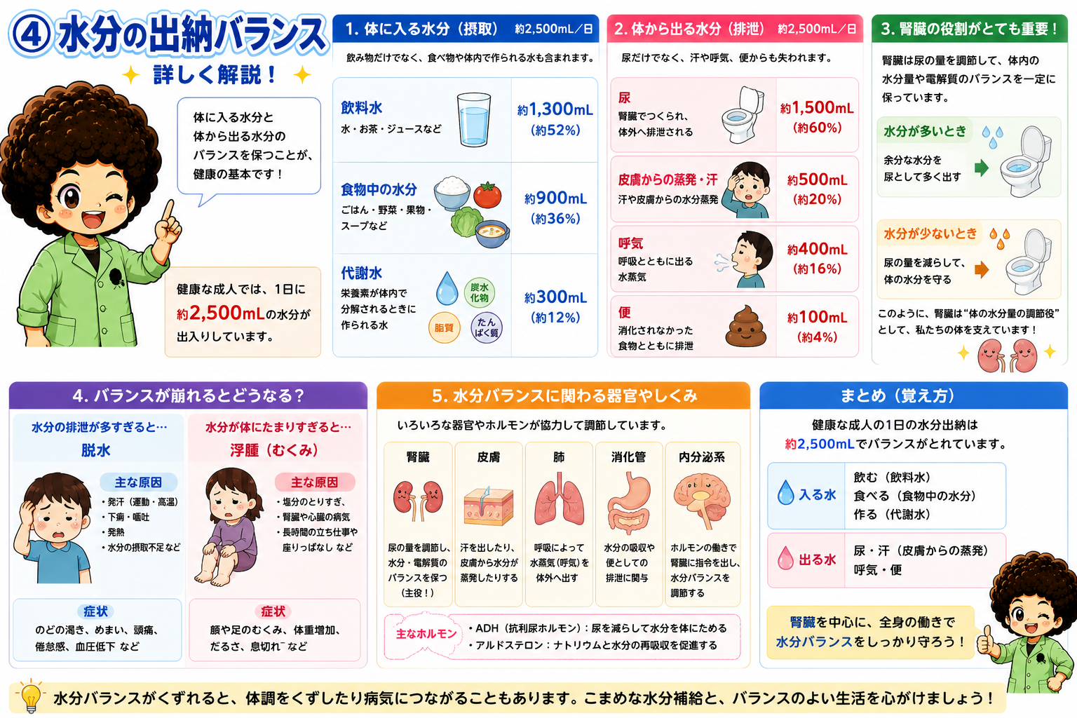 1日の水分出納バランスと調節にかかわる器官・ホルモン